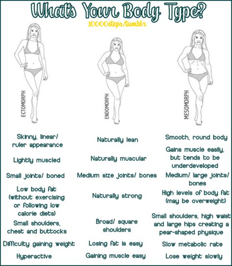 Whats your body type? Body Type Diet, Endomorph Body Type, Square Shoulders, Endomorph Diet, Blood Types, Cheap Clean Eating, Ooh Ahh, Diet Vegetarian, Someecards