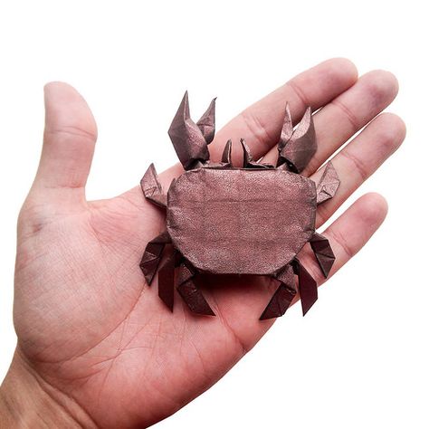 Origami Baby Crab (Riccardo Foschi) | It has been a long tim… | Flickr Remy The Rat, Baby Crab, Creative Origami, Paper Fish, Origami Fish, Paper Airplanes, Paper Folding, Origami Crafts, Tropical Fish