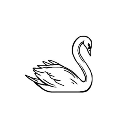 Swan Tattoo, Black