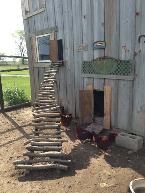 Chicken Coop Ideas Backyard, Chicken Ramp, Chicken Ladder, Urban Wall Decor, Chicken Coop Ideas, Rustic Interior Design, Cute Chicken Coops, Chicken Coop Garden, Chicken Barn