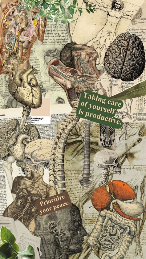 #collage #aesthetic #beige #offwhite #wallpaper #anatomy Anatomy Design Graphic, Nervous System Wallpaper Aesthetic, Anthropology Aesthetic Wallpaper, Anatomy Mind Map, Physiology Aesthetic Wallpaper, Biology Stickers Aesthetic, Human Body Wallpaper, Medtech Wallpapers, Anatomy Wallpaper Desktop