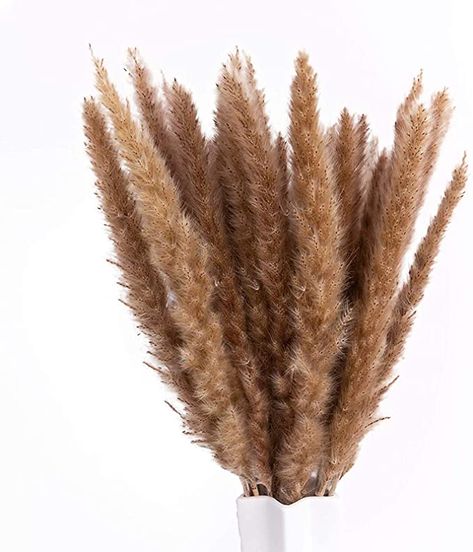 Amazon.com: 17" Pampas Grass, Uieke 30pcs Natural Dried Artificial Flowers Arrangements Large Reed Plumes Long for Home Wedding Party Decoration Wreath Vase Boho Decor Brown: Kitchen & Dining Artificial Flowers Arrangements, Bohemian Party Decorations, Grass Plants, Boho Party Decorations, Grass Decor, Pampas Grass Decor, Grass Flower, Silk Hydrangeas, Flowers Arrangements