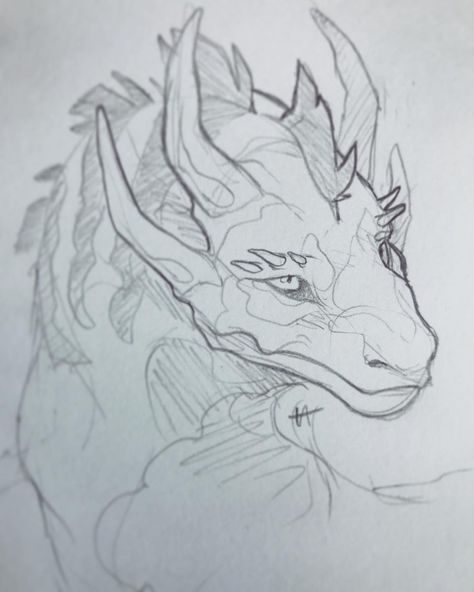 Roaring Dragon Drawing, Dragon Mouth Drawing, Fantasy Animals Sketch, How To Draw Dragon Scales, Dragon Head Angles, Dragon Face Reference, Dragon Reference Head, How To Draw A Dragon Head, Dragon Head Drawing Reference