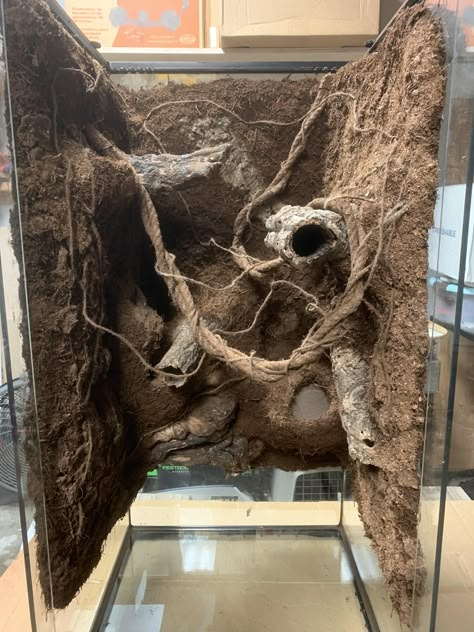 Crested Gecko Terrarium Ideas Diy, Terrarium Crested Gecko, Crested Gecko Tank Ideas, Diy Crested Gecko Enclosure, Crested Gecko Habitat Bioactive, Crested Gecko Tank, Crested Gecko Enclosure, Bioactive Crested Gecko Tank, Bioactive Crested Gecko Terrarium