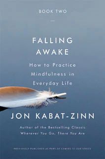 Jon Kabat Zinn Mindfulness, Humor Books, Sharon Salzberg, Jon Kabat Zinn, Practice Mindfulness, Mindful Parenting, Meditation Benefits, Geek Humor, Mystery Novels