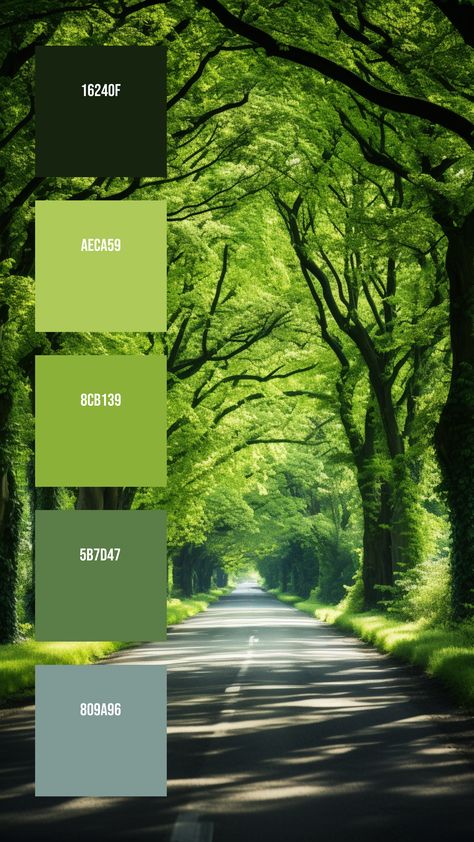 Colors:
16240F ° AECA59 ° 8CB139 ° 5B7D47 ° 809A96 Greenhouse Color Palette, Adventure Color Palette, Nature Pallet, Nature Colour Palette, Jungle Color Palette, Plant Color Palette, Colour Palette Green, Tree Color Palette, Nature Palette