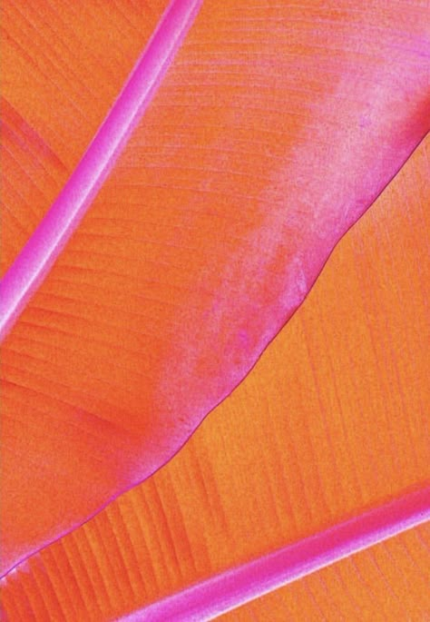 Orange + Core + Aesthetic, Iphone Background Pink, Wallpapers Rosa, Logos Color, Orange Palette, Aesthetic Orange, Jelly Wallpaper, Orange Color Palettes, Purple Sunset