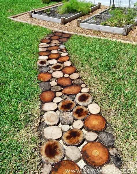 Cheap Christmas Trees, Tree Stump Planter, Garden Globes, Tree Stumps, Picture Tree, Vertical Planter, Colorful Succulents, Garden Path, Colorful Plants