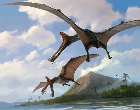 Guidraco Venator.  New toothed flying reptile from Asia Prehistoric Wildlife, Dinosaur Wallpaper, Dinosaur Images, Dinosaur Pictures, Prehistoric World, Jurassic World Dinosaurs, Ancient Animals, Paleo Art, Extinct Animals