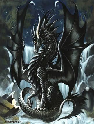 Black Dragon I want a black dragon. Maybe in my dreams. Thejavawitch Kiara Lion King, Dragon Medieval, Forbidden Knowledge, Ultimate Dragon, Yin Yang Tattoos, Dragon Dreaming, Dragon's Lair, Cool Dragons, Fairy Dragon