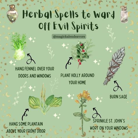 Herbal Spells, Magick Rituals, Wicca Crystals, Kitchen Witch Recipes, Diy Herbal Remedies, Magickal Herbs, Medicinal Herbs Garden, Witch Herbs, Medical Herbs