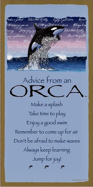 Advice from an Orca Orca Quotes, Shaman Warrior, Animal Spirit Guides, Animal Spirit, Quote Of The Week, Jumping For Joy, Advice Quotes, Spirit Guides, Life Advice