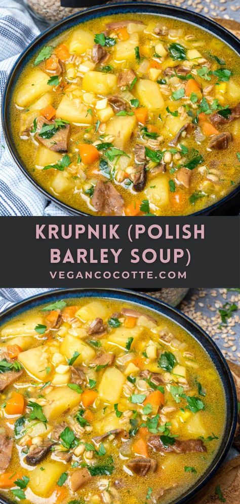 Soup With Barley, Easy Vegan Soup, Barley Recipe, Dried Porcini Mushrooms, Beef Barley Soup, Juniper Berries, Barley Soup, Vegan Soup Recipes, Porcini Mushrooms