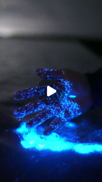 Patrick Coyne on Instagram: "•Bioluminescence•

The absolute stickiest bio I have ever seen! Last years trip to Florida had bioluminescence that not only was incredibly bright but also stayed on our hands for such a long time! Placing our hands in and out of the water produced hundreds if not thousands of tiny blue dots that all lit up. I often dream about this night and wonder if we’ll ever be able to top it. Huge shoutout to @getupandgokayaking for having me out and @j_buzzi for being my hand model. 

-
-
-
-
-
#discoverocean #artofvisuals #earthfocus #sonyalpha #bealpha #sonyalphasclub #beautifuldestinations #florida #merrittisland #redtide #bioluminescence #ocean" Bioluminescence Water, Bioluminescent Algae, Aluminum Awnings, Trip To Florida, Merritt Island, Blue Dots, Hand Model, Florida Travel, Blue Dot