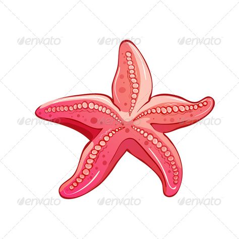 Starfish Isolated on White Starfish Logo Design, Aquatic Background, Web Presentation, Photoshop Sketch, Vector Graphics Design, Student Travel, Business Banner, Print Fonts, Background Illustration