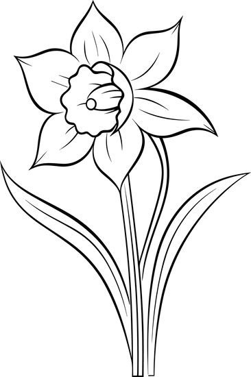 Daffodil Flower Outline Outline Drawings Simple, Daffodil Flower Drawing, Daffodil Outline, Daffodil Drawing, Tattoo Practice, Flower Outline, Daffodil Flower, Flower Stencil, Applique Quilting