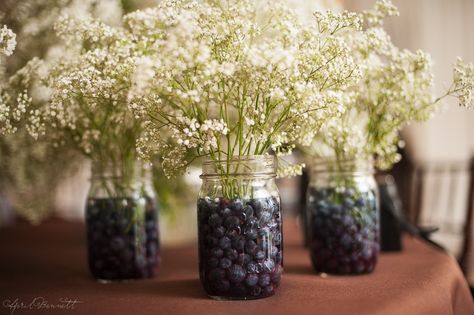 Great idea for table bouquets -- blueberries to hold up the baby's ... Blueberry Wedding Decor, Blueberry Centerpiece Ideas, Blueberry Flower Arrangement, Blueberry Table Decorations, Blueberry Baby Shower Decor, Blueberry Balloon Arch, Blueberry Centerpiece, Luncheon Centerpieces, Blueberry Bouquet