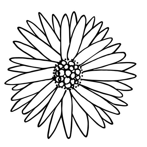 Aster Drawing Simple, Aster Flower Drawing, Pnw Design, Aster Flower Tattoo, Aster Flower Tattoos, Flower Crown Drawing, Hygge Art, Vintage Flower Tattoo, Daisy Drawing