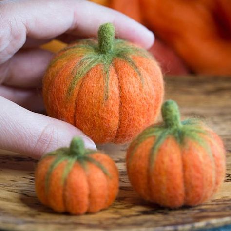 Felted Pumpkins, Wool Colours, Tovad Ull, Diy Tricot, Felt Mushroom, Waldorf Crafts, Wool Felt Projects, Needle Felting Diy, Felt Pumpkins