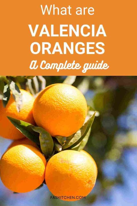 A Pinterest pin featuring a collage of Valencia oranges and informative text. The image highlights the nutritional benefits, versatile uses, and tips on buying and storing Valencia oranges. Perfect for those seeking to add a zesty twist to their culinary repertoire and embrace a healthy lifestyle. #ValenciaOranges #OrangeGuide #HealthyLiving Valencia Orange, Fresh Juice, Valencia, How To Use, Nutrition, Benefits, Orange