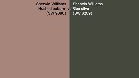 Hushed Auburn Sherwin Williams, Hushed Auburn, Interior House Colors, Paint Colors For Home, Craftsman House, Barndominium, Branding Inspiration, Sherwin Williams, Hush Hush