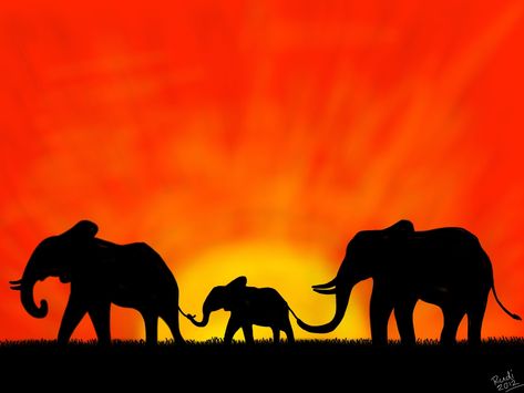 Elephants Sunset Elephant Family Drawing, Elephant Habitat, Elephant Black And White, Family Silhouette, Elephant Sketch, Elephant Photography, Elephant Wallpaper, Shadow Painting, Elephant Silhouette