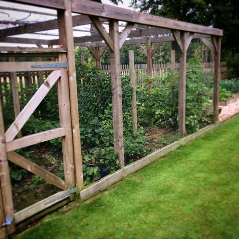 Diy Fruit Cage, Fruit Cages Walk In, Diy Fruit Cage How To Build, Berry Enclosure, Berry Bush Cages, Caged Garden, Berry Cage, Fruit Cages, Garden Enclosure Ideas