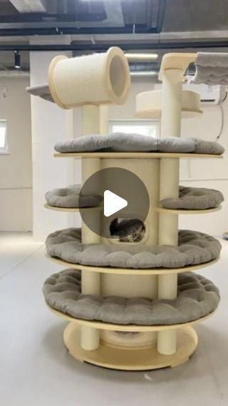 Kzlaa Anni on Instagram: "New Large Size Pet Climbing Net Cat Climbing Frame Wooden Cat Nest

💼🏡You can go to my homepage link to buy:www.kzlaa.com——Cat Tree
•
•
•
#cat #cats #catsofinstagram #catlover #catlife #catlovers #cats_of_world #catinstagram #fyp #for #foryou #kzlaa #catvideos #catvilla #catinstagram #cattree #tree" Cat Climbing Frame, Tree Cat, Cat Perch, Climbing Frame, Cat Climbing, Wooden Cat, Cat Stuff, Cat Tree, Cat Gif