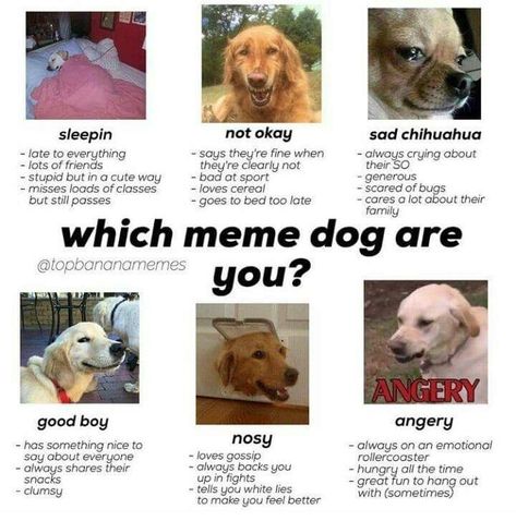 Tag Yourself Funny, Im Looking Meme, Tag Yourself, You Are Welcome Meme, Tag Yourself Meme, Im Okay Meme, Birthday Scenario, Personality Chart, Facebook Engagement Posts