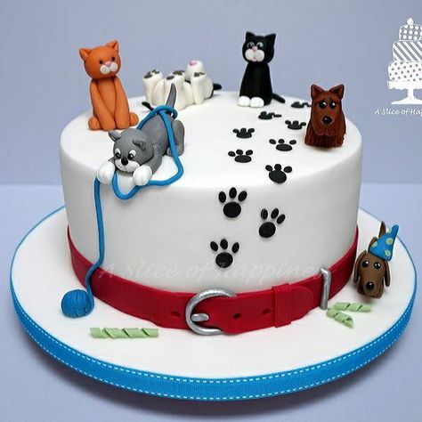 Calico Cat Cake, Dog And Cat Cake, Vet Party, Vet Cake, Dogs Cake, Kitten Cake, Cat Cakes, Birthday Cake For Cat, Cat Cake Topper