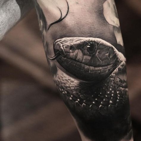 2,888 vind-ik-leuks, 8 reacties - ⠀⠀⠀⠀⠀⠀⠀⠀TATTOO ARTISTS (@tattoo.artists) op Instagram: 'Brilliant B&G execution Artist IG: @benthomasart' Tattoo Cobra, Snake Tattoo Meaning, Mangas Tattoo, Tattoo Snake, Tattoo Diy, Serpent Tattoo, Snake Tattoo Design, Tattoo Inspiration Men, Omerta Tattoo