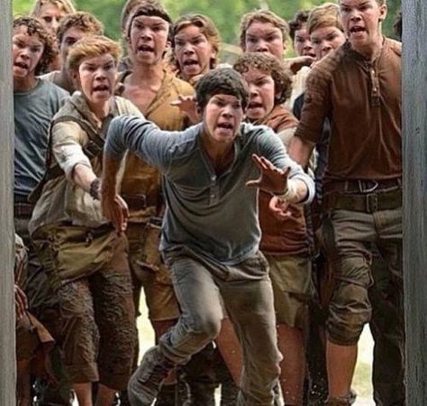 Thomas Maze Runner, Maze Runner 1, Maze Runer, Maze Runner Thomas, Will Poulter, Maze Runner Trilogy, Maze Runner Funny, Maze Runner Cast, Newt Maze Runner