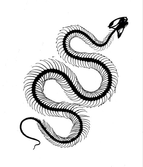 Half Snake Half Skeleton Tattoo, Snake Skeleton Design, Snake Stencil, Snake Skeleton Tattoo, Chest Tattoo Drawings, Snake Bones, Dragon Tattoo Drawing, Snake Skeleton, Black And White Snake