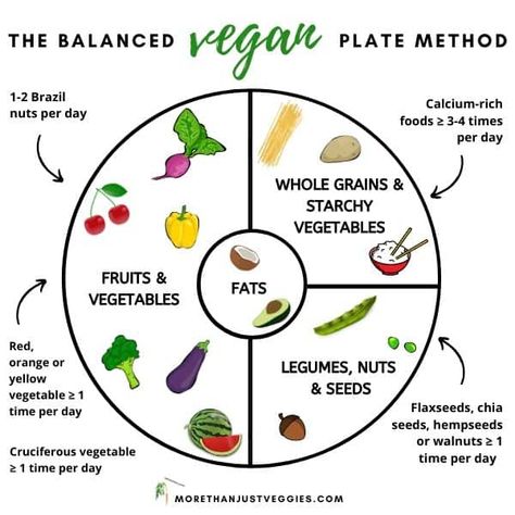 This is the vegan plate method that I use, as a registered dietitian, to put together balanced vegan meals. Print it or pin it for later reference! Balanced Meals Vegetarian, Vegan Plate Method, Vegan Balanced Meal, Plate Method Meals, Balanced Vegan Meals, Camp Foods, Plate Method, Nutrition Plate, Diet Plate