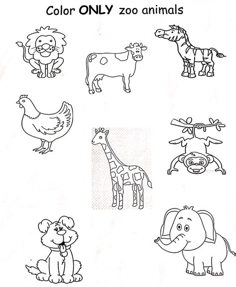 Preschool Zoo Animal Activities, Zoo Animals Preschool Worksheets, Farm And Wild Animals Worksheet, Zoo Worksheets Preschool, Zoo Worksheets Preschool Free Printable, Animals Worksheet Kindergarten, Wild Animals Activity, Zoo Mš, Zoo Animals Worksheet