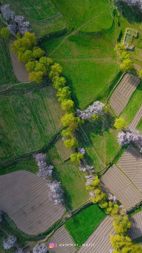 Pakistan Photography, Crop Farming, Crop Field, Gilgit Baltistan, Fields Photography, Minecraft Ideas, City Photo, Terrace, Pakistan