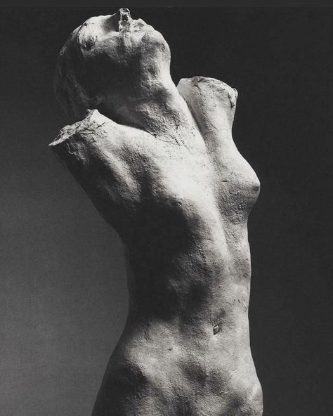 differ on Instagram: “Auguste Rodin :: Torso of the Centauress” Rodin Sculpture, Sound Sculpture, Camille Claudel, French Sculptor, Auguste Rodin, Principles Of Art, Sculpture Installation, Modern Sculpture, Figurative Sculpture