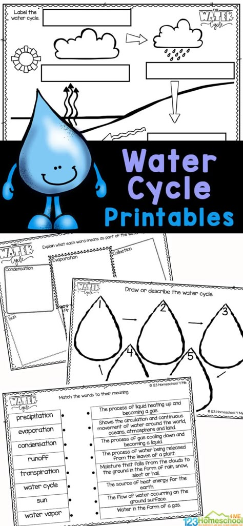 Water Cycle Lessons, Water Cycle For Kids, Hibernation Preschool Activities, Water Cycle Experiment, Water Cycle Project, Plant Life Cycle Worksheet, Water Cycle Diagram, Water Cycle Activities, Water Cycle Worksheet