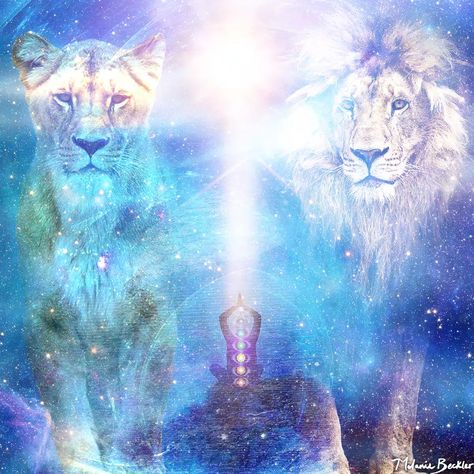 What is the Lions Gate Portal 8/8/2023 Activation? Lion Gate Portal, Lion Gate, Portal Art, Animal Spirit Guides, Lions Gate, Selenite Wands, Maria Magdalena, Spiritual Artwork, Light Of Life