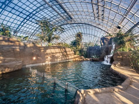 Gallery of Paris Zoological Park / Bernard Tschumi Urbanists Architects + Veronique Descharrieres - 10 Greenhouse Conservatory, Bernard Tschumi, Zoo Architecture, Zoological Garden, Indoor Pools, Indoor Greenhouse, Youth Center, Vivarium, Backyard Inspo