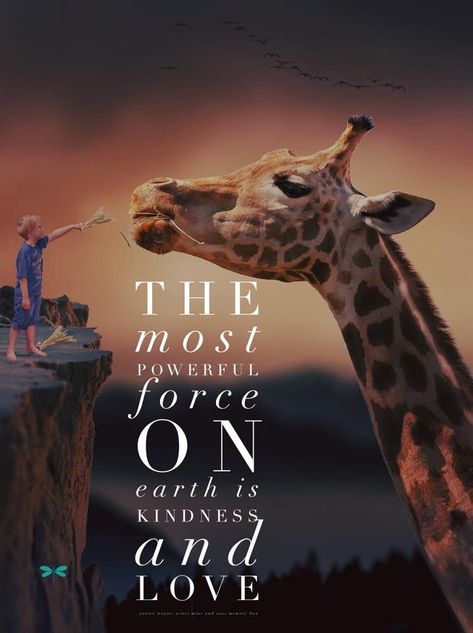 Giraffe Quotes, Giraffe Facts, Nature Quotes Inspirational, Giraffe Drawing, Giraffe Pictures, Chicken Soup For The Soul, Giraffe Decor, Barbie Quotes, Soup For The Soul