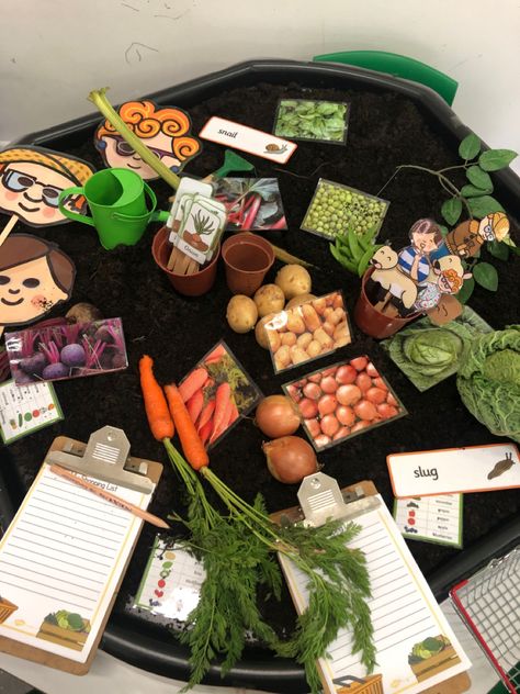 Oliver’s Vegetables Tuff Tray, Autumn Fruits And Vegetables Preschool, Oliver’s Vegetables Activities, The Gigantic Turnip Activities, Oliver’s Vegetables Eyfs, Olivers Vegetables Eyfs, Healthy Eating Eyfs Activities, The Enormous Turnip Eyfs, Vegetables Eyfs