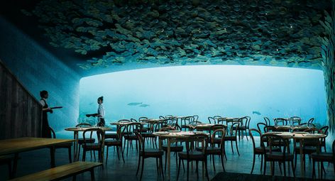 Dine Under the Sea in Norway’s First Underwater Restaurant Norwegian Architecture, Underwater Restaurant, Artificial Reef, Bawah Air, Under The Water, Champagne Bar, Earthship, Aarhus, Restaurant Design