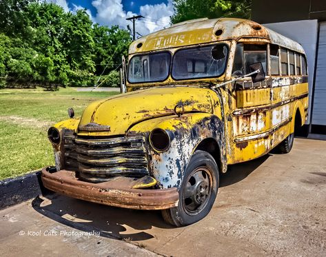 The Old Chevy School Bus Old Chevy, 60s Aesthetic, Old School Aesthetic, Old School Bus, Cats Photography, Abandoned Cars, Cat Photography, School Bus, Aesthetic Vintage