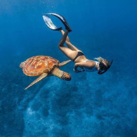 Mermaids best friends
Sea Turtles
Fins
Scuba Morning Swim, Gili Islands, In The Ocean, Turtles, The Ocean, Diving, Swimming