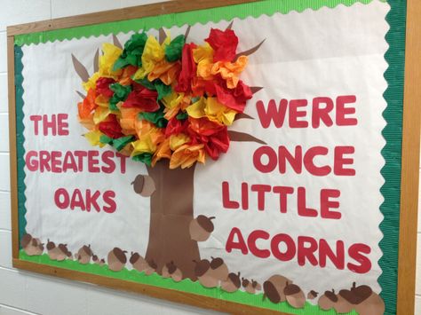 Fall bulletin board: The greatest oaks, were once little acorns. Fall Bulletin Board Ideas, Bulletin Board Tree, Fall Bulletin Board, Cute Bulletin Boards, Bullentin Boards, Infant Classroom, Fall Boards, Fall Bulletin Boards, Preschool Bulletin