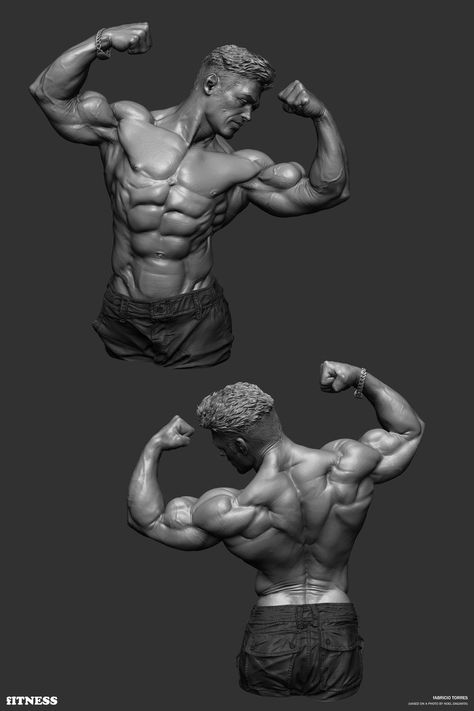 ArtStation - Fitness, Fabricio Torres Zbrush Anatomy, 남성 근육, Human Anatomy Reference, Body Study, Man Anatomy, Anatomy Sculpture, Digital Sculpting, Anatomy Tutorial, Digital Sculpture