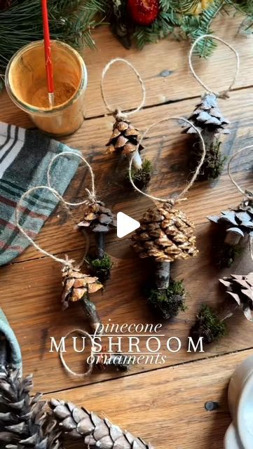 𝑨𝑳𝑴𝑨𝑵𝑨𝑸𝑼𝑬 𝑫𝑰𝒀 on Instagram: "Que lindeza estes mini cogumelos pata enfeitar nossa árvore de Natal...🥰🎄🍄
#mushroon #mushrooms #merrychristmas #christmastrees #christmastreedecorating #ornamentos #ornaments #diy #christmas #cogumelos #amanitamuscaria" Holiday Pinecone Crafts, Valentine Nature Crafts, Pinecone Mushroom, Pinecone Decorations Diy, Diy Pinecone Crafts, Cooking For 1, Florida Crafts, Pinecone Art, Pinecone Crafts