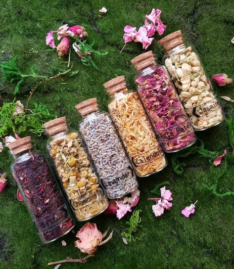 Witches Apothecary, Herb Diy, Witchcraft Herbs, Herb Jar, Magia Das Ervas, Wine Gift Baskets, Crystal Display, Herbal Apothecary, Herbal Magic