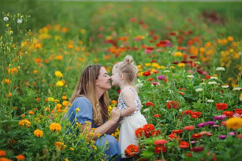 Zinnia Field Family Pictures, Zinnia Flower Field Photoshoot, Flower Farm Family Photos, Flower Farm Pictures, Wildflower Mini Session, Flower Farm Photoshoot Family, Wild Flower Photoshoot Family, Flower Field Family Photos, Flower Field Photos